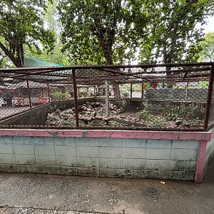 Reticulated Python Exhibit - Lopburi Zoo
