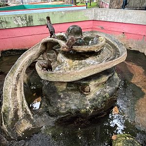 Small-clawed Otter Exhibit #1 - Lopburi Zoo