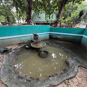 Small-clawed Otter Exhibit #2 - Lopburi Zoo