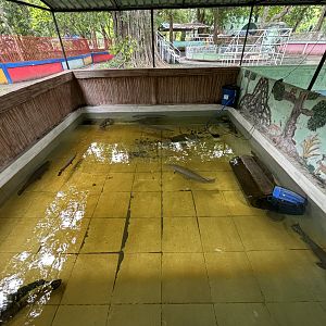 Alligator Gar Exhibit - Lopburi Zoo