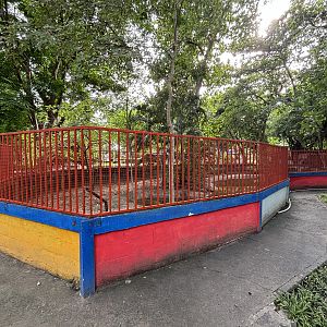 Saltwater Crocodile Exhibit - Lopburi Zoo