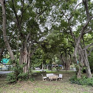 Picnic Area - Lopburi Zoo