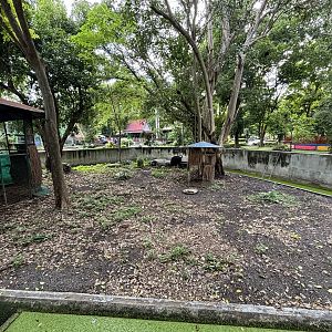 Cassowary Exhibit - Lopburi Zoo