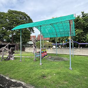 The Big Monkey Show - Lopburi Zoo