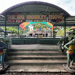 The Big Monkey Show - Lopburi Zoo