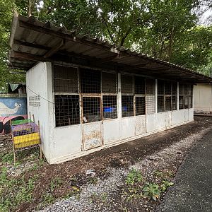 Abandoned Exhibit - Lopburi Zoo