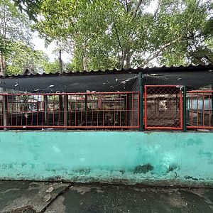 Egyptian Goose Exhibit - Lopburi Zoo