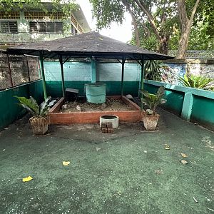 Large Bamboo Rat Exhibit - Lopburi Zoo
