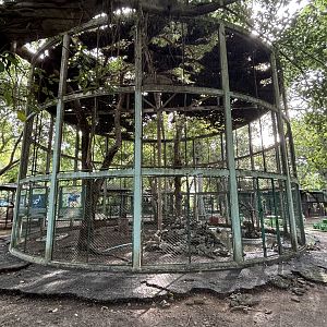 Aviary (2 species) - Lopburi Zoo
