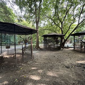Assorted Aviaries - Lopburi Zoo