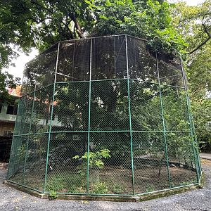 Woolly-necked Stork Aviary - Lopburi Zoo