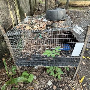 Abandoned Cage - Lopburi Zoo