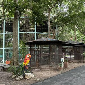 Assorted Aviaries - Lopburi Zoo
