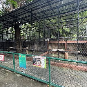 Assorted Macaque Exhibits - Lopburi Zoo