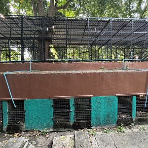 Assorted Primate Exhibits (rear view) - Lopburi Zoo