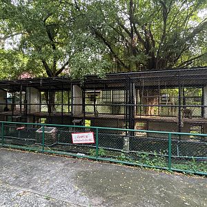 Assorted Macaque Exhibits - Lopburi Zoo