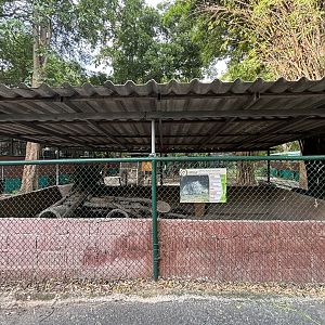 Malayan Porcupine Exhibit - Lopburi Zoo