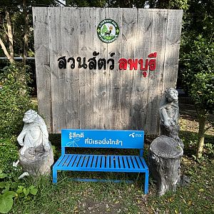Bench - Lopburi Zoo