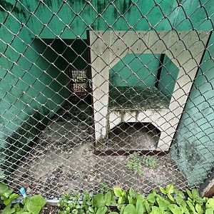 Empty Exhibit - Lopburi Zoo