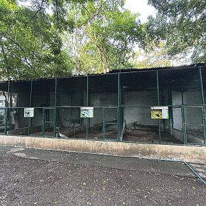 Pheasant Aviaries - Lopburi Zoo