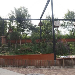 Limburg aviary with Black stork, Raven and Eurasian eagle owl, 2024-08-21
