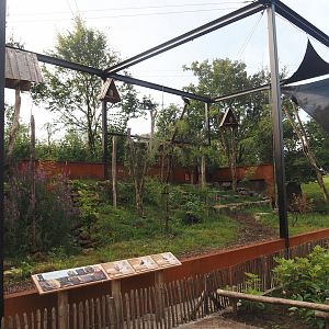 Limburg aviary with Black stork, Raven and Eurasian eagle owl, 2024-08-21