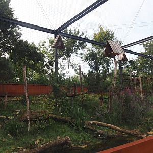 Limburg aviary with Black stork, Raven and Eurasian eagle owl, 2024-08-21