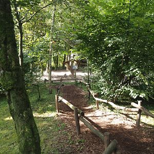 New viewing area for part of Eurasian forest reindeer paddock near holding area, 2024-08-21
