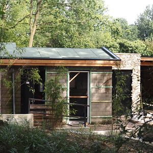 Construction of new Mountain bongo and Pygmy hippopotamus house, 2024-08-21