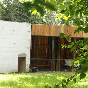 New Mountain bongo and Kirk's dik-dik stable under construction, 2024-08-21