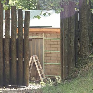 New Mountain bongo and Kirk's dik-dik stable under construction, 2024-08-21