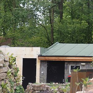 Construction of new Mountain bongo and Pygmy hippopotamus house, 2024-08-21