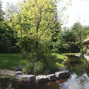 Expanded Mountain bongo paddock - Former red river hog paddock, 2024-08-21