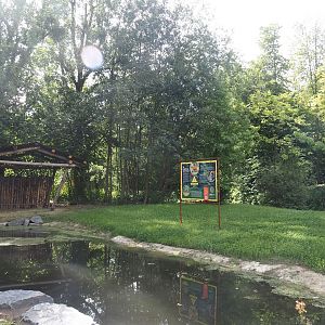 Expanded Mountain bongo paddock - Former red river hog paddock, 2024-08-21