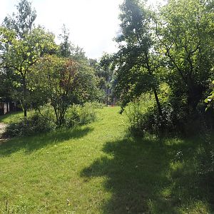 Expanded Mountain bongo paddock - Slightly extended original Mountain bongo paddock, 2024-08-21