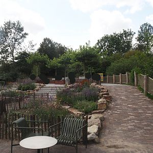 New terrace area next to the pygmy hippopotamus exhibit (where the underwater viewing area used to be), 2024-08-21