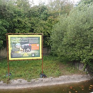 Pygmy hippopotamus exhibit undergoing renovation, 2024-08-21