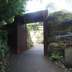 Coal mine area at the entrance of Rainforest section, now without a roof, 2024-08-21