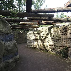 Coal mine area at the entrance of Rainforest section, now without a roof, 2024-08-21