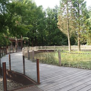 Boardwalk in area with Bush dog exhibit and future Black-and-gold howler monkey and Pied tamarin exhibit, 2024-08-21