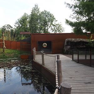 Future Black-and-gold howler monkey and Pied tamarin house, 2024-08-21