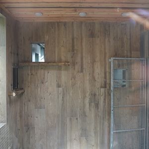 Future Black-and-gold howler monkey and Pied tamarin indoor housing, 2024-08-21