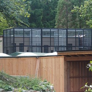 Mountain bongo shelter and Black-and-gold howler monkey and Pied tamarin off-show exhibits, 2024-08-21