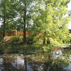 Future Black-and-gold howler monkey and Pied tamarin exhibit, 2024-08-21