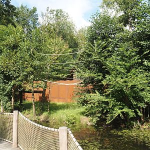 Future Black-and-gold howler monkey and Pied tamarin exhibit, 2024-08-21