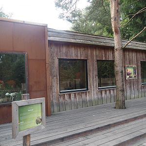 Bush dog house and display case with bush dog, maned wolf and capybara specimens, 2024-08-21