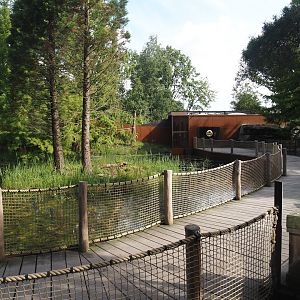 Boardwalk between the Bush dog exhibit and the Future Black-and-gold howler monkey and Pied tamarin exhibit, 2024-08-21