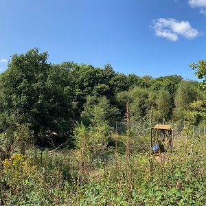 Jimmy's farm, brown bear enclosure, pano