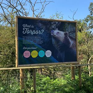 Jimmy's farm, brown bear torpor signage