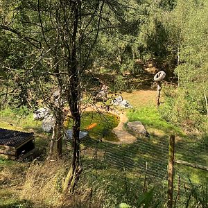 Jimmys farm, brown bear enclosure, pool